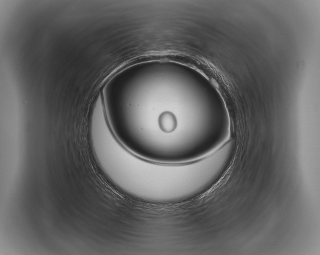X0000116851361200912291232
