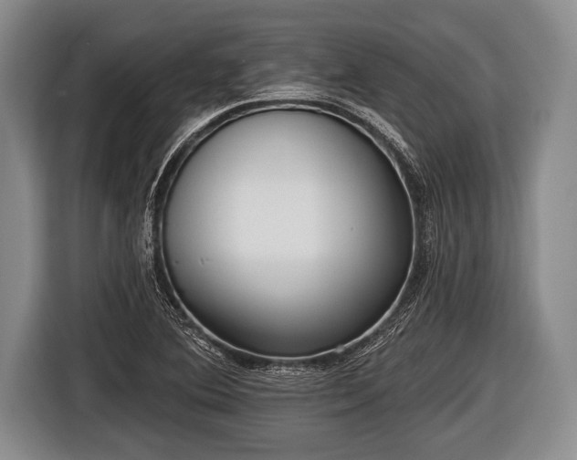 X0000116851364200912291232