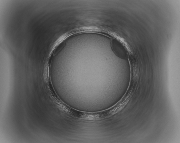 X0000116851365200912291232