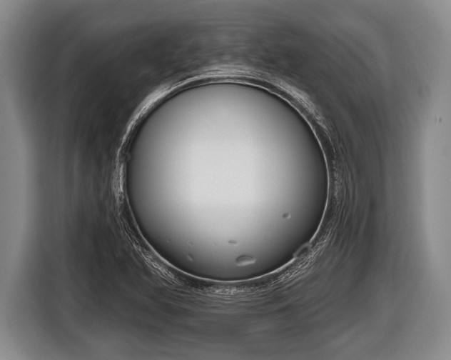 X0000116851366200912291232