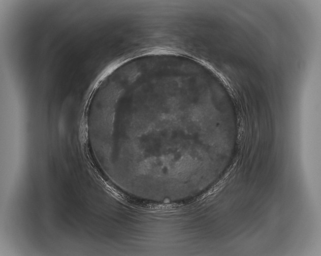 X0000116851367200912291232