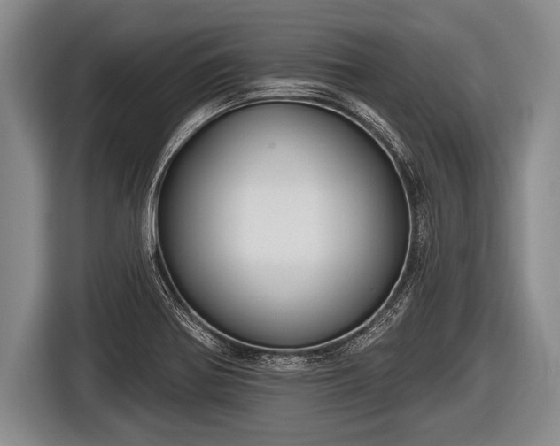X0000116851370200912291232
