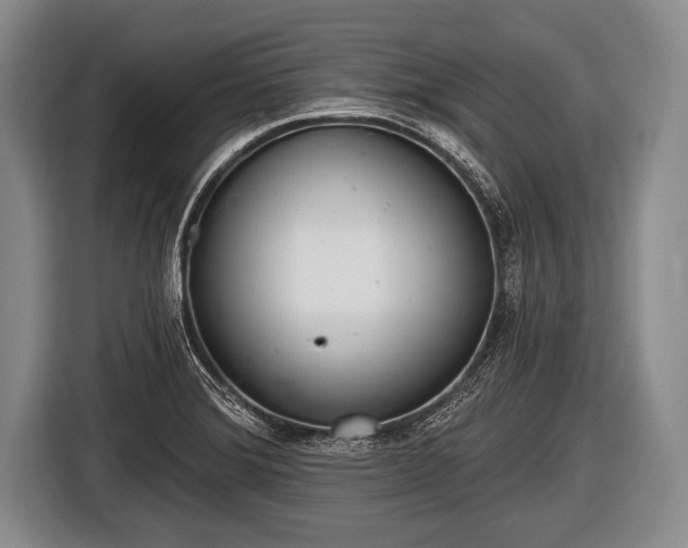 X0000116851372200912291231