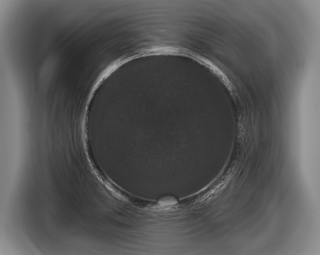 X0000116851373200912291231