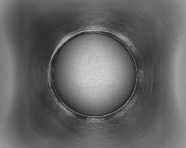 X0000116851374200912291231