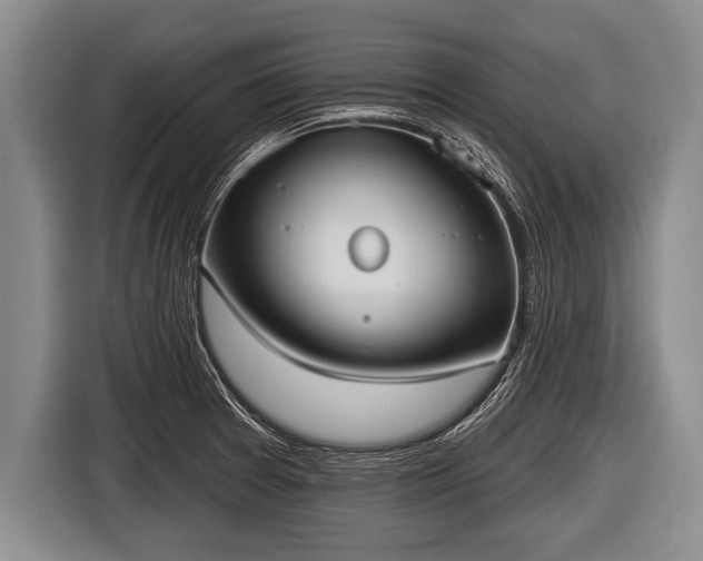 X0000116851377200912291231