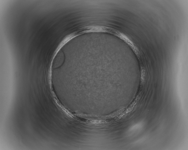 X0000116851378200912291231