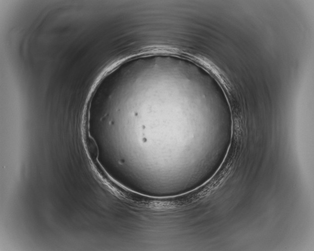 X0000116851379200912291231