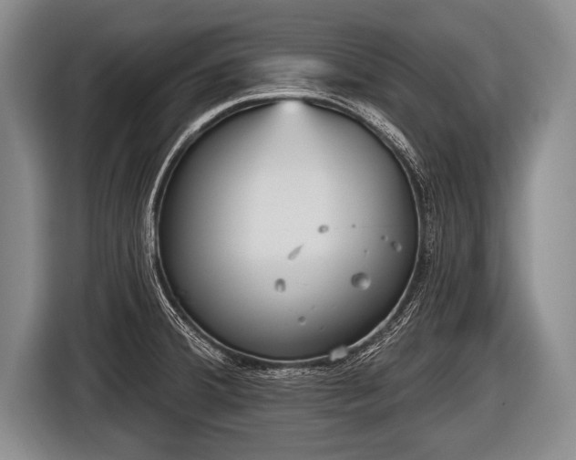 X0000116851380200912291231