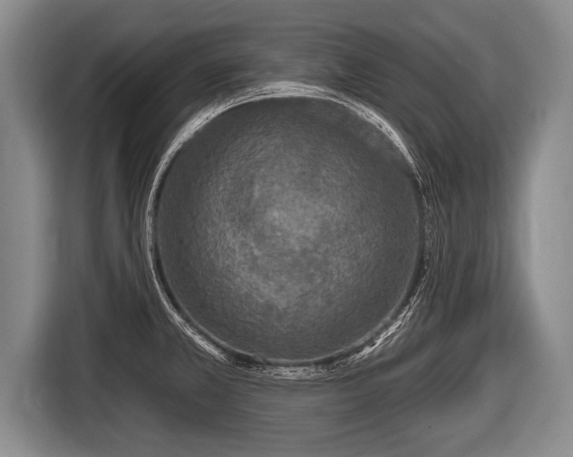 X0000116851381200912291231