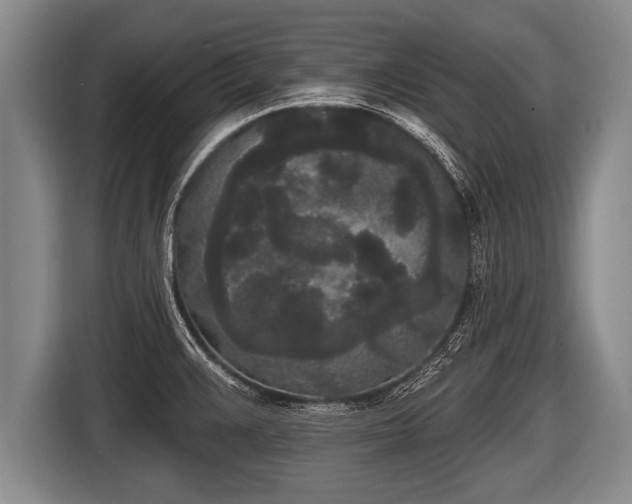 X0000116851383200912291231