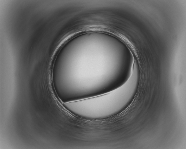 X0000116851384200912291231