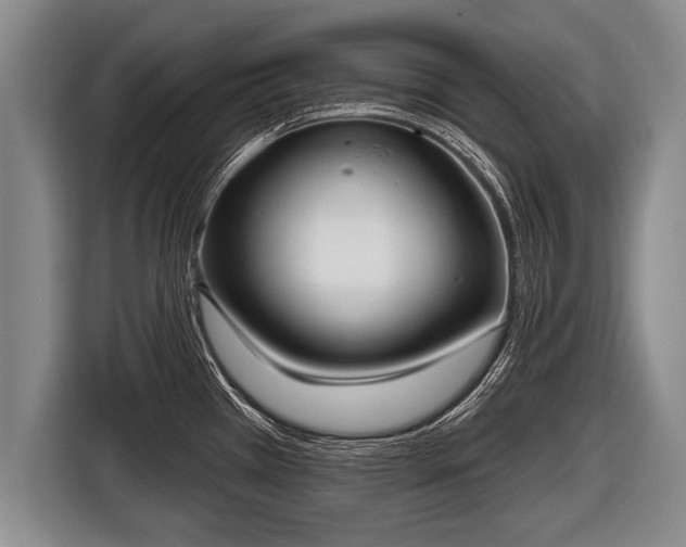 X0000116851385200912291231