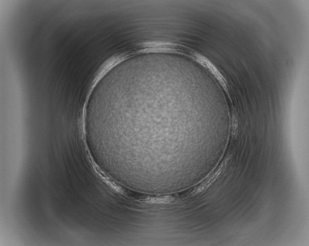 X0000116851386200912291231