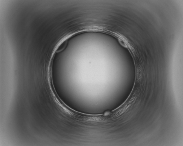 X0000116851387200912291231