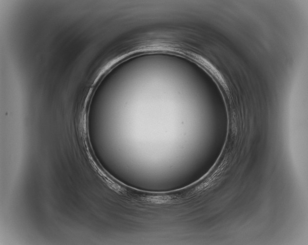 X0000116851388200912291231