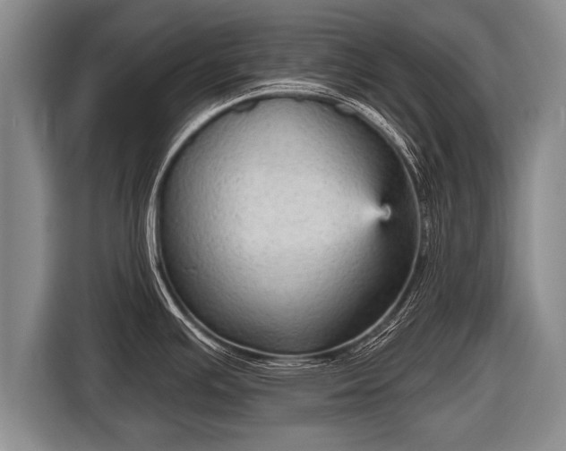 X0000116851391200912291231