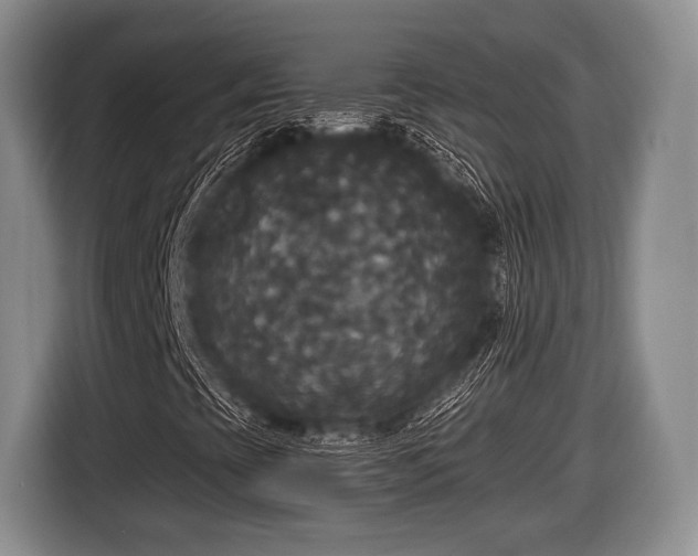 X0000116851393200912291231