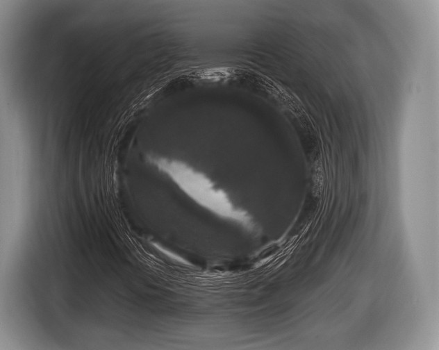 X0000116851394200912291231