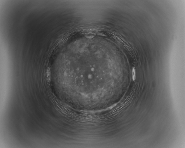 X0000116851395200912291231