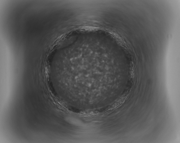 X0000116851397200912291231