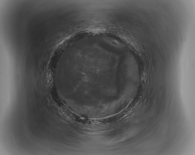 X0000116851398200912291231