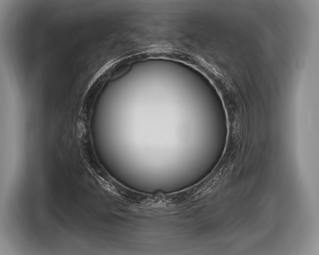 X0000116851400200912291231