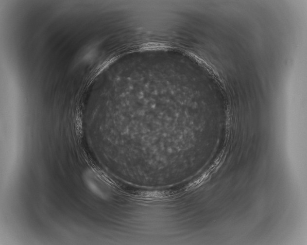 X0000116851401200912291231