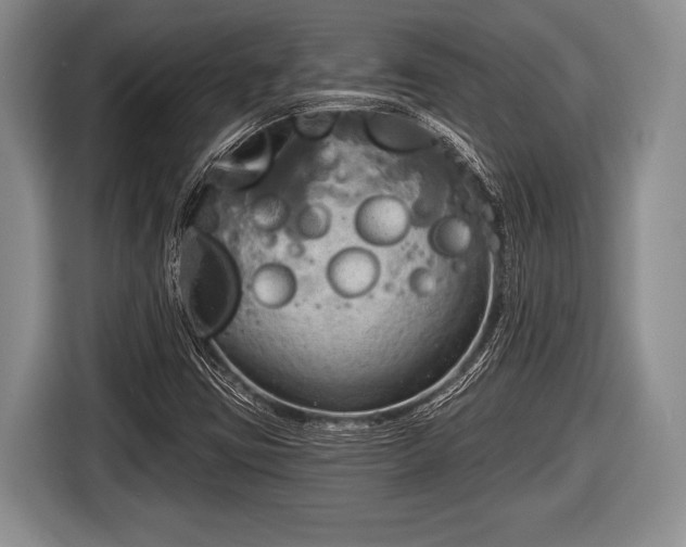 X0000116851403200912291231