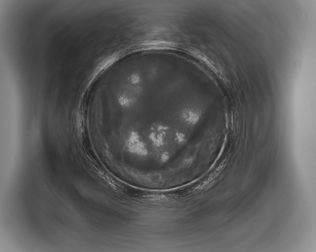 X0000116851405200912291231