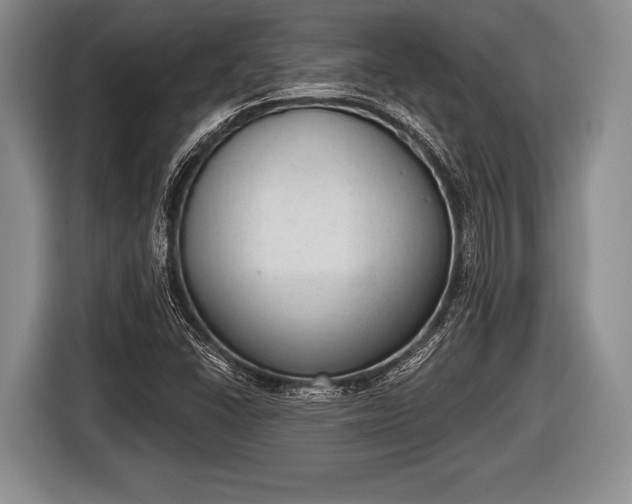 X0000116851406200912291231