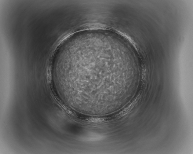 X0000116851407200912291231