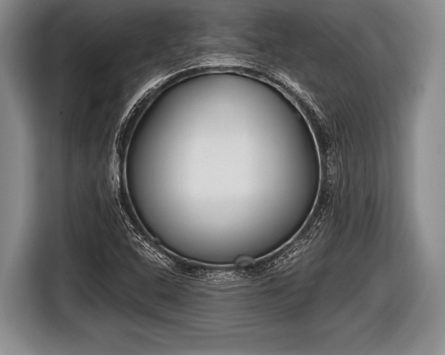 X0000116851408200912291231