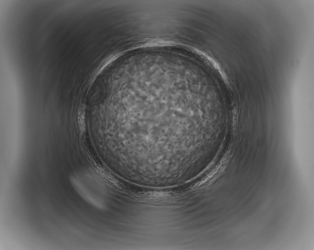 X0000116851409200912291231