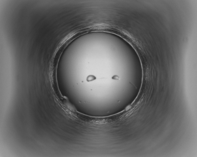 X0000116851410200912291231