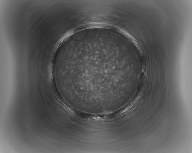 X0000116851411200912291231