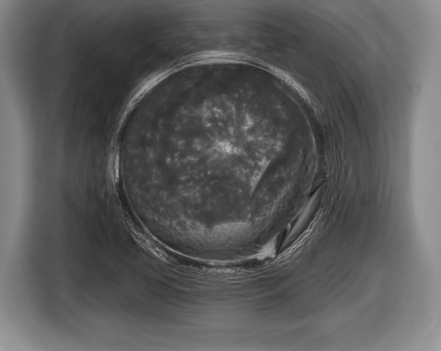 X0000116851413200912291231