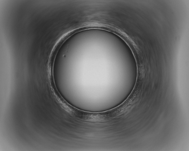 X0000116851416200912291231