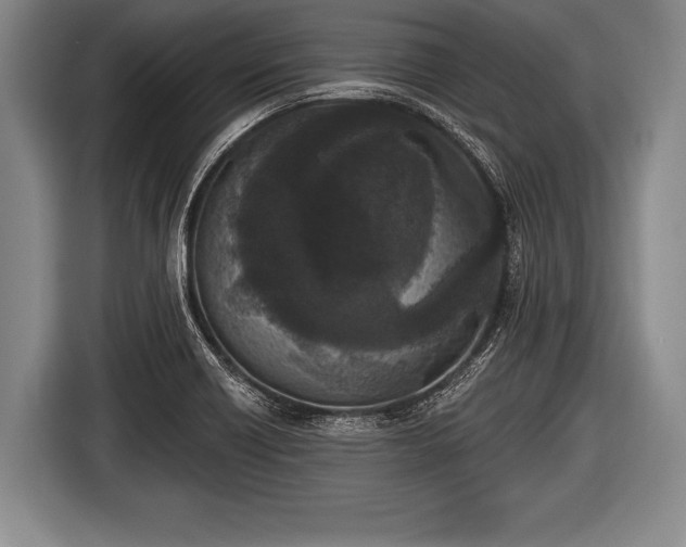 X0000116851418200912291231