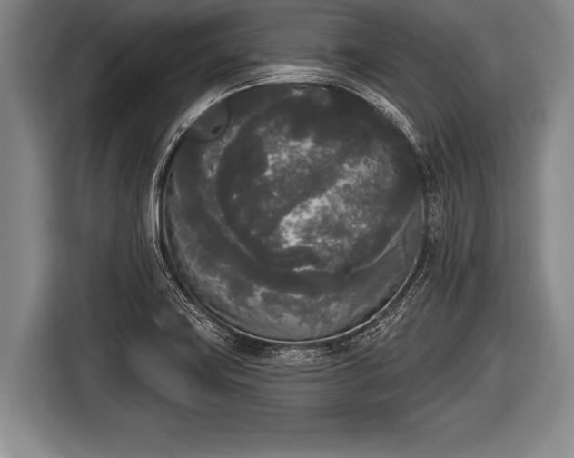 X0000116851419200912291231