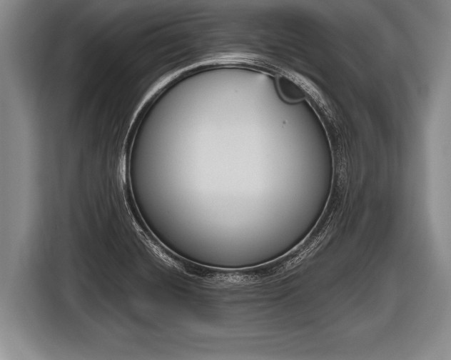 X0000116851420200912291231