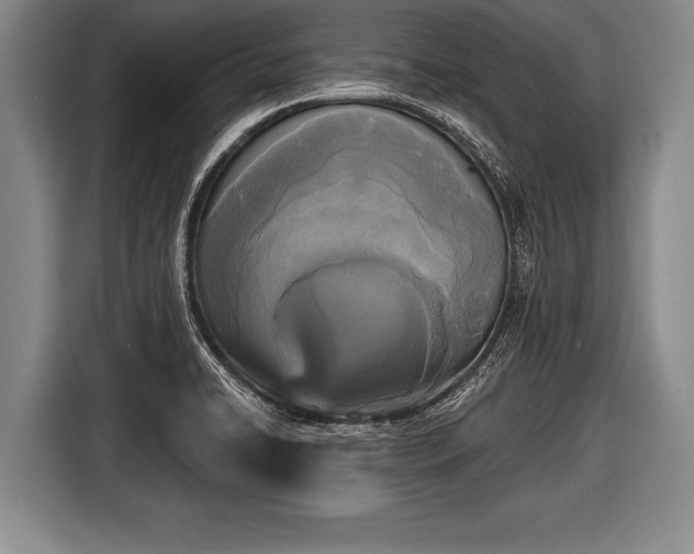 X0000116851422200912291231