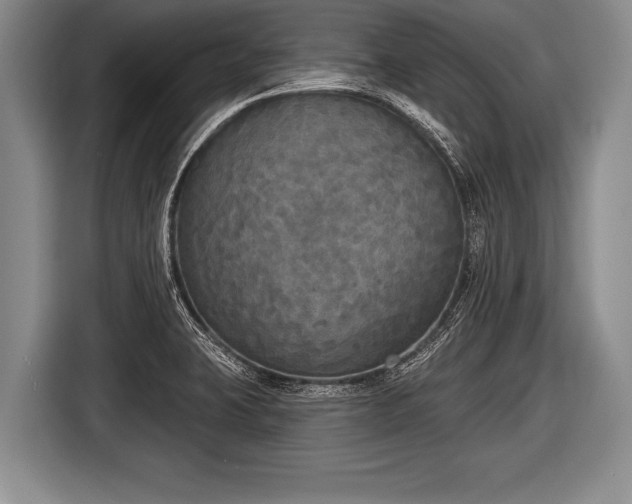 X0000116851423200912291231