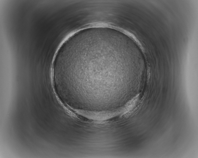 X0000116851424200912291231
