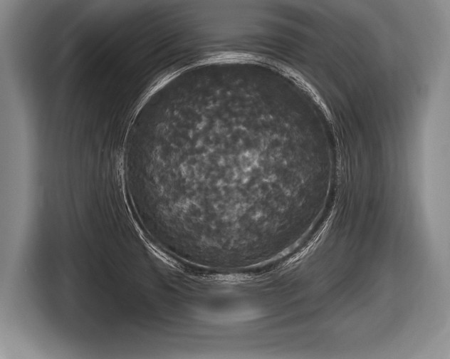 X0000116851425200912291231