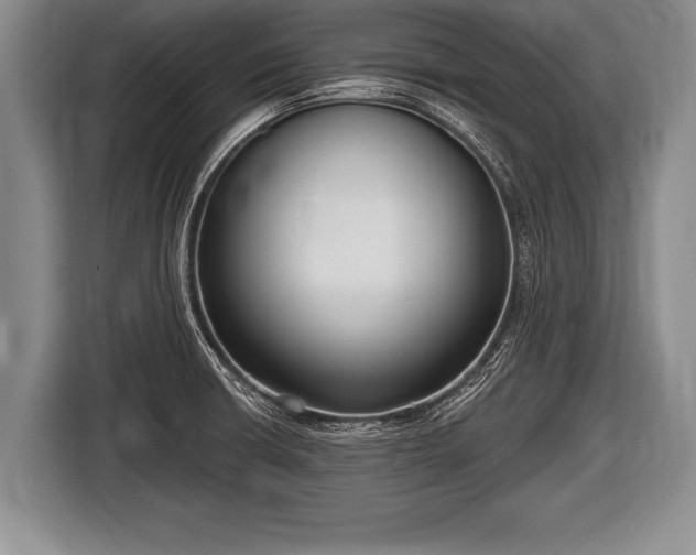 X0000116851426200912291231