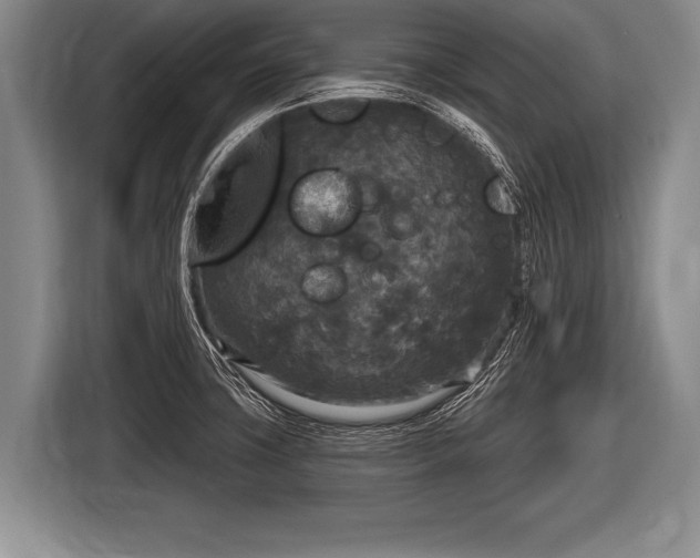 X0000116851427200912291231