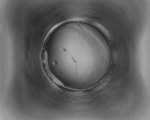 X0000116851428200912291231