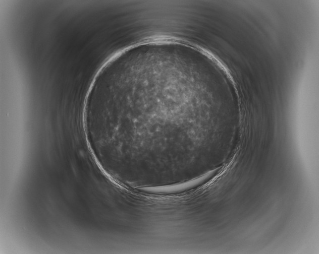 X0000116851429200912291231