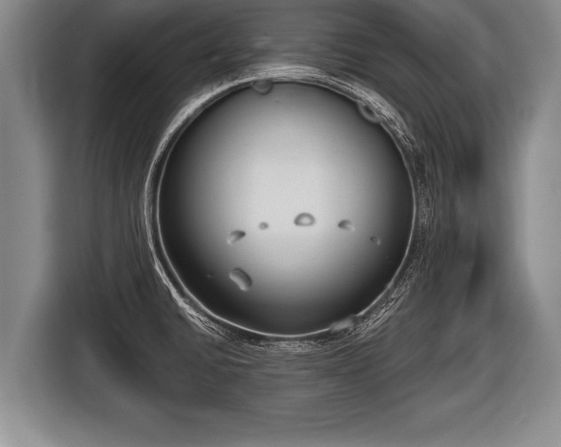 X0000116851430200912291231